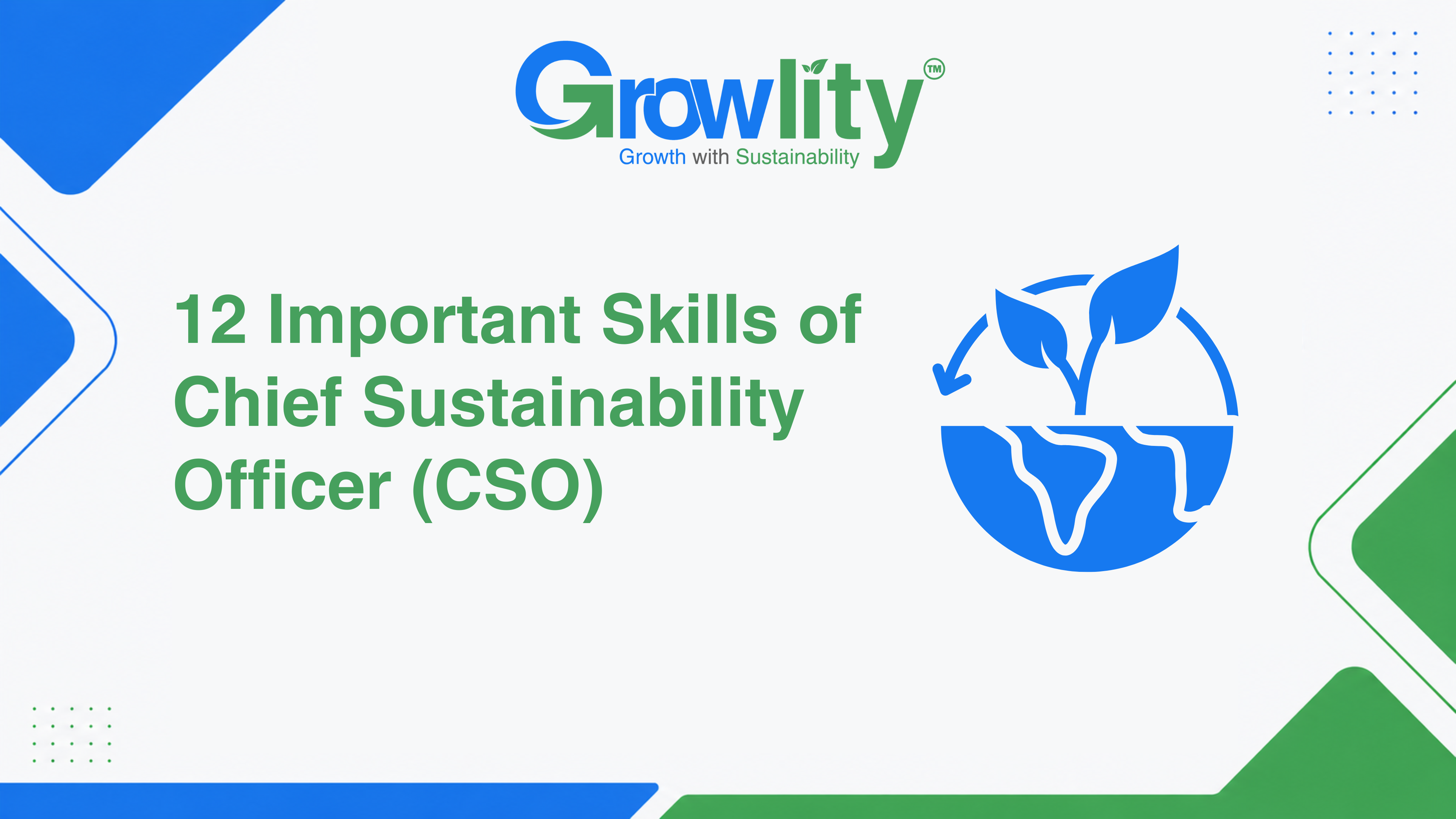12 Important Skills of Chief Sustainability Officer (CSO)