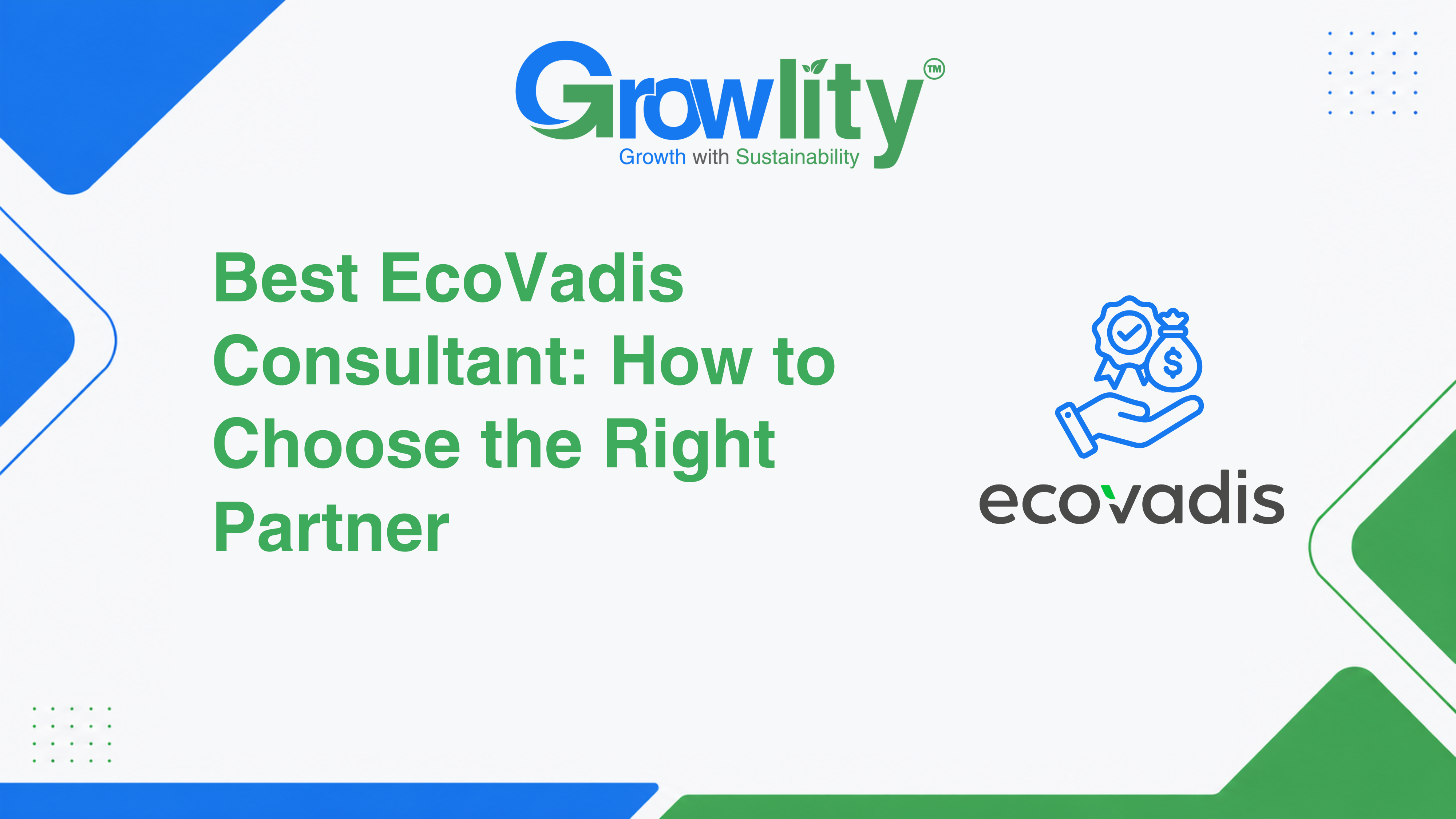 Ecovadis Consultant