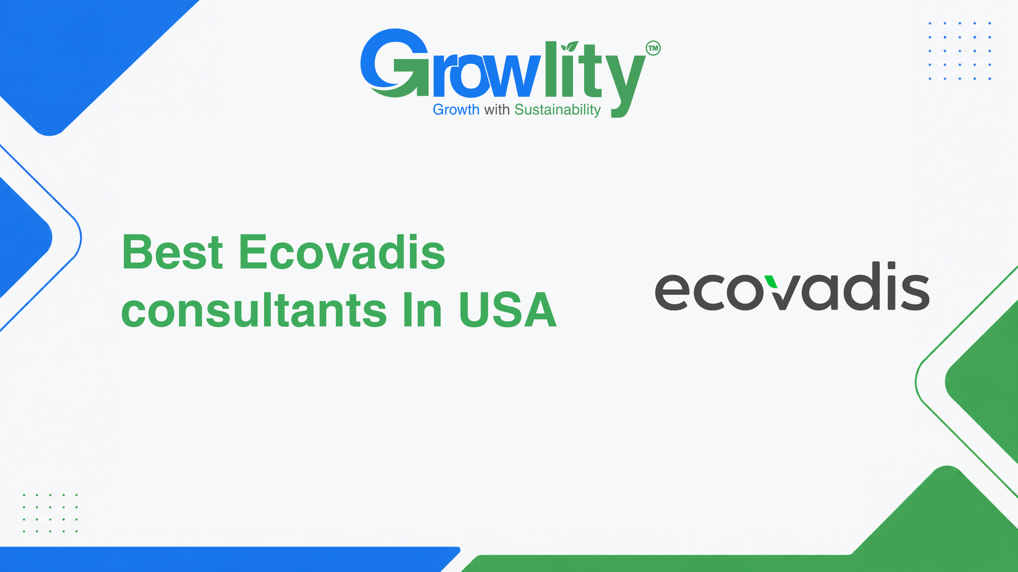 Best EcoVadis Consultant in USA