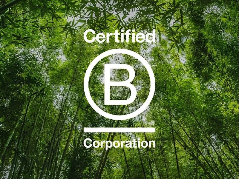 B Corp Certification Consulting