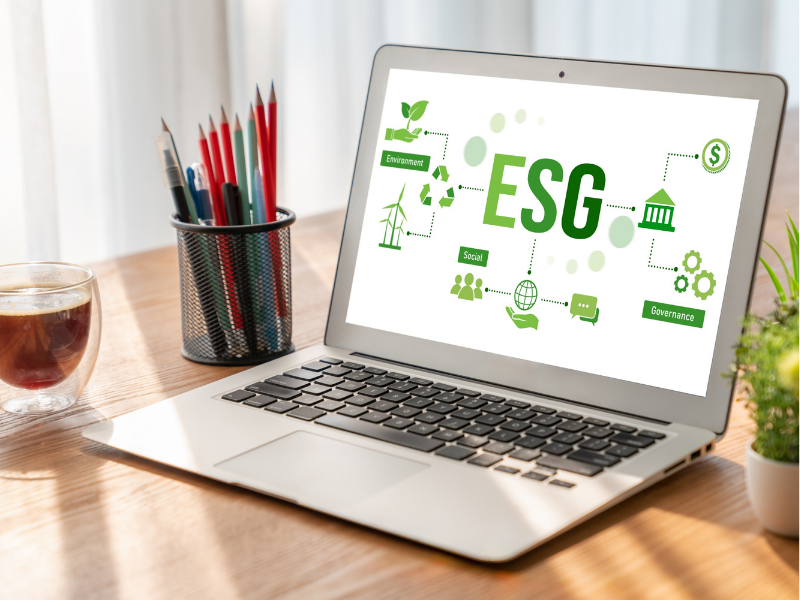 ESG Assessment